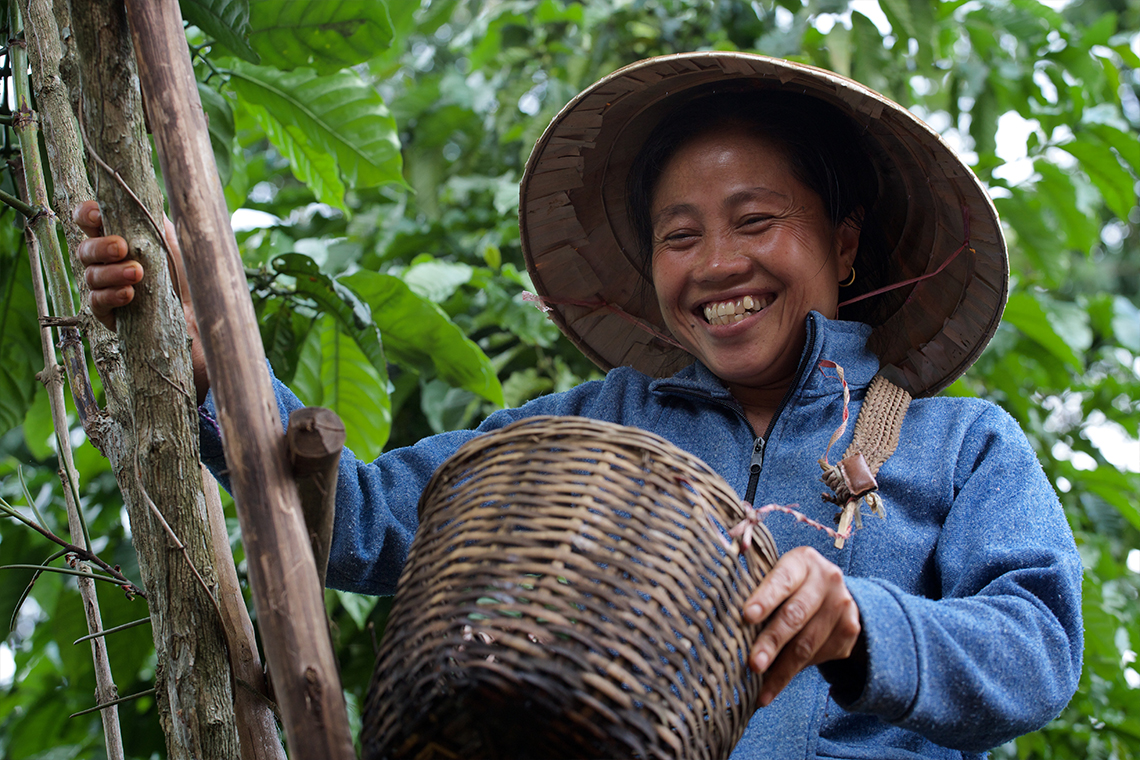 Experience Laos by Bike: Thrilling Adventures on Two Wheels